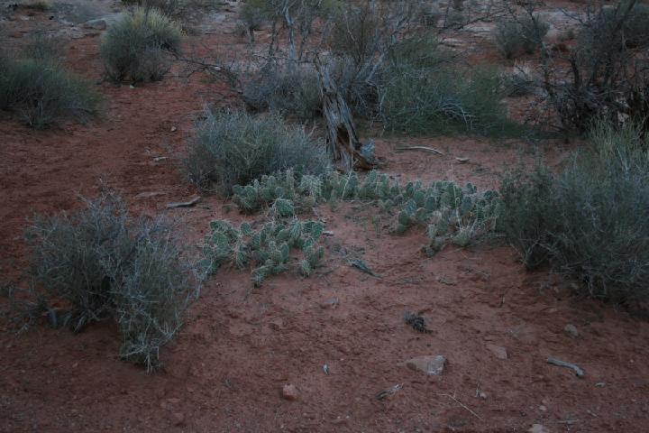 10-Arches 0033.JPG